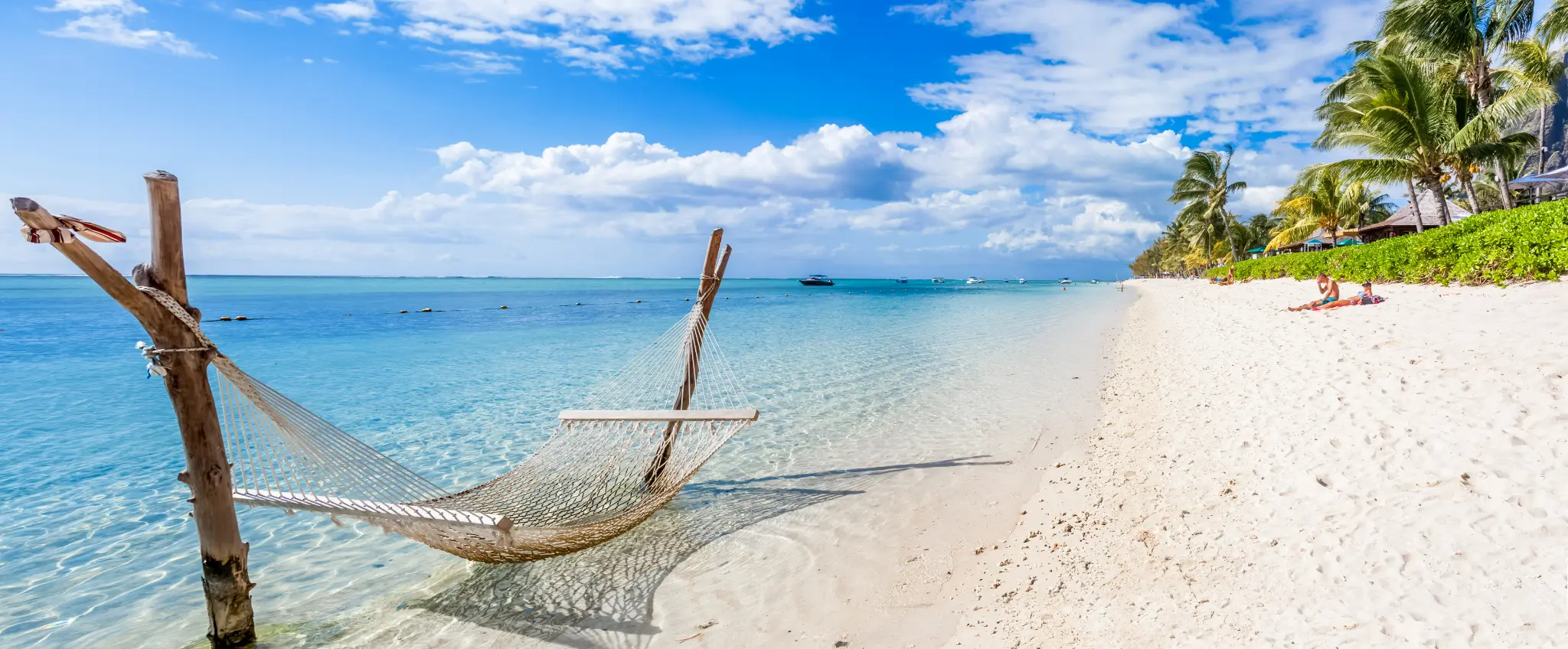 Tropical beach with hammock - the Friday feeling